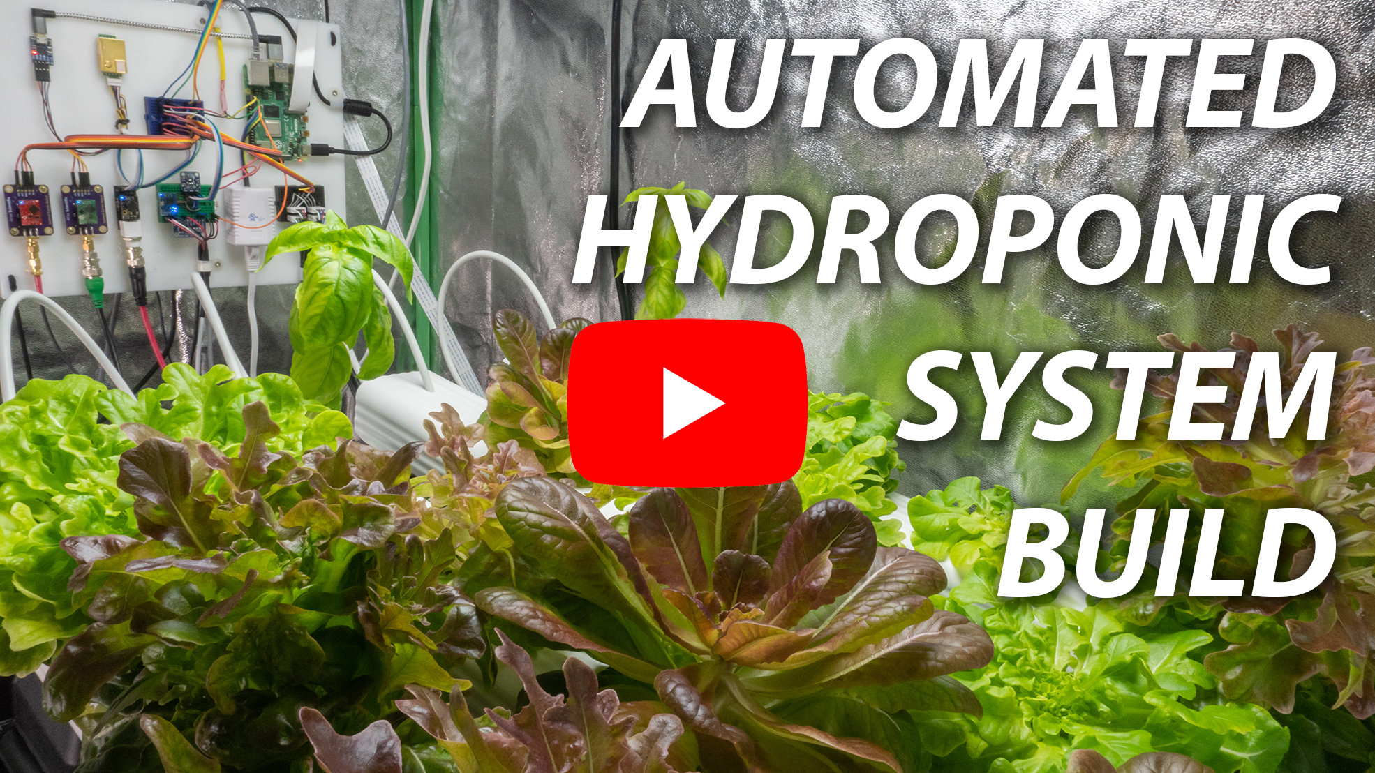 Automated Hydroponic System Build Projects Kyle Gabriel